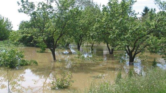 Wielka kontrola wielkiej wody. Kto zawinił?