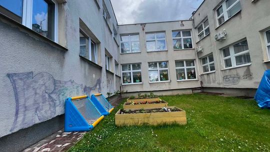 Przedszkole nr 15 Zamość