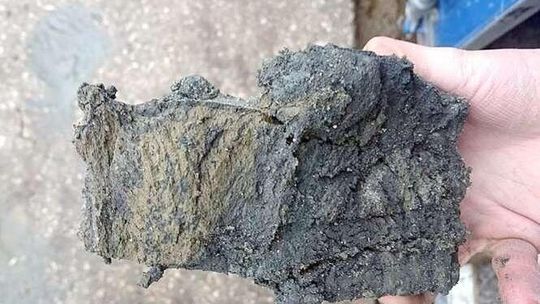 Wielka szansa ukryta w Niedźwiadzie. W poszukiwaniu glaukonitu