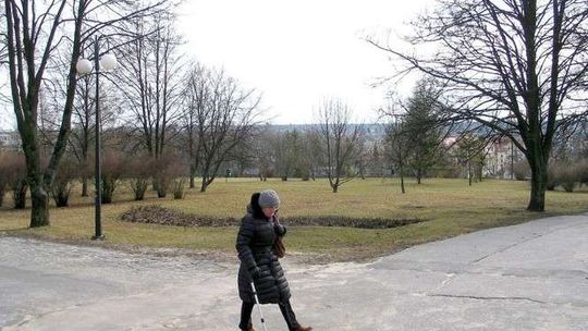 Wielka wycinka drzew w całej Polsce. A w Chełmie będą sadzić