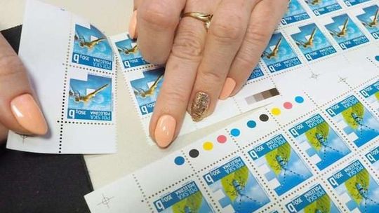 Wielki przekręt w państwowej firmie. Miesiącami nikt nie zauważał oszustw Doroty P.