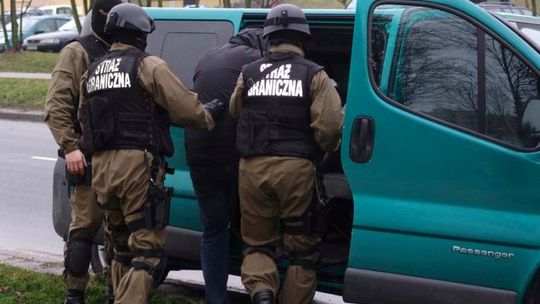 Wielki przemyt papierosów. Tytoniowy gang trafił za kraty (wideo)