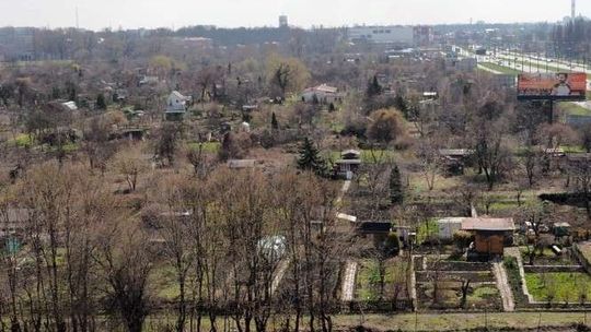 Wielki Staw Królewski zamiast ogródków działkowych? Działkowcy mają inny pomysł