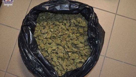 Wielki wór a w nim prawie 2 kg marihuany