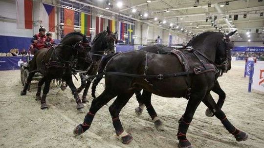 Wielki zjazd koni. Cavaliada 2018 od czwartku w Lublinie [program]