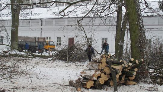 Wielkie cięcia w parku Radziwiłłów