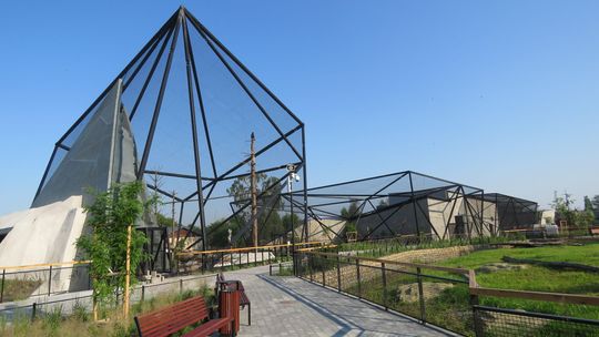 Wielkie otwarcie w zoo w Zamościu. Flamingi się spóźnią, ale mają wymówkę