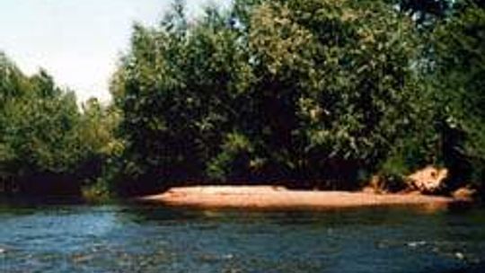 Wieprz w gminie Trawniki (nr 70) - 1 głos