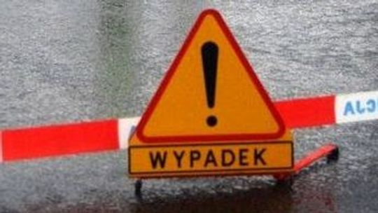 Wierzchowiska Drugie: Wypadek na S12, zderzyły się dwa samochody
