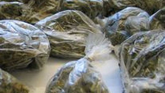 Wieźli 1370 gramów marihuany, wpadli podczas kontroli drogowej