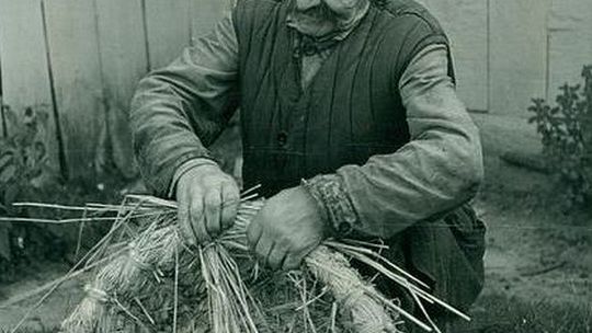  Wiklina w Muzeum Lubelskim