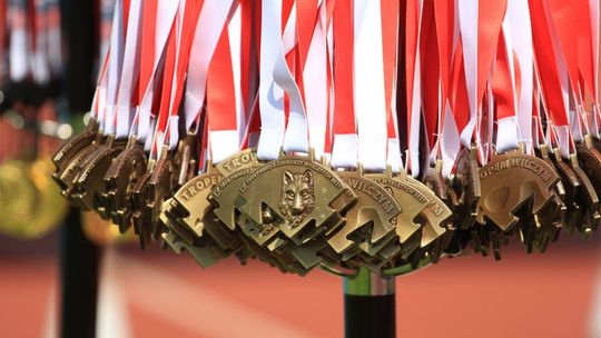 Wilczego biegu nie będzie. W tle lokalna polityka