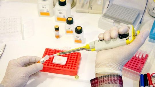 Wilczopole: Piotr S. oskarżony o gwałt po badaniu DNA