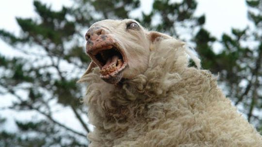 Wiosenna edycja kina klasy B w Centrum Kultury