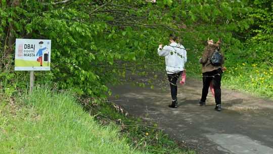 Wiosenne sprzątanie miasta. Tysiące mieszkańców w akcji