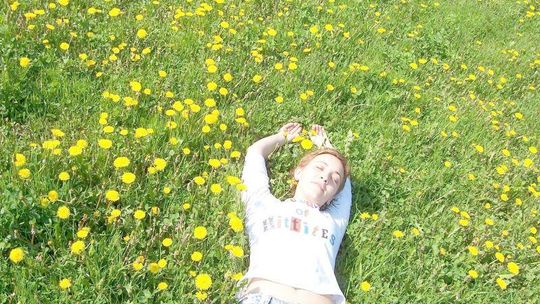 Wiosenny smak: Pokrzywa, mniszek, bratki i stokrotki