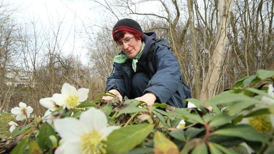 Wiosna coraz bliżej. Za tydzień nawet 15 stopni Celsjusza