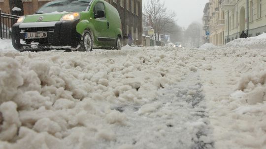 Wiosna? Na razie tylko w kalendarzu