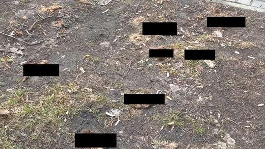 Wiosna odsłania "kwiatki" w mieście. Apel od Czytelnika