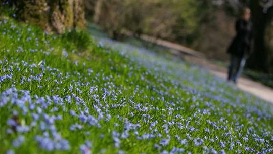 WIOSNA w progu. Kiedy zmieniamy czas na letni?