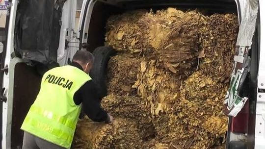 Wiózł prawie 700 kilogramów nielegalnego tytoniu w busie. Trafił do aresztu