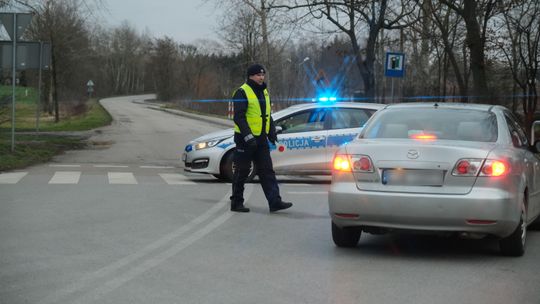 Wirus ptasiej grypy zaatakował Lubelskie. Olbrzymie straty, zagrożone gminy w trzech powiatach [lista miejscowości]