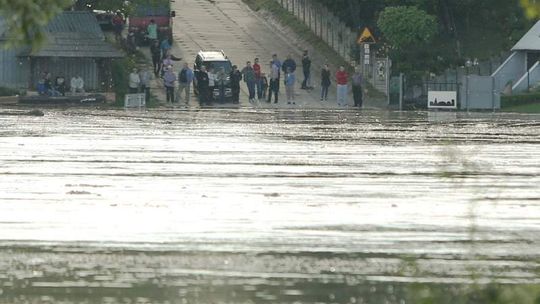 Wisła podeszła już pod wały, trwa wyścig z czasem. Byliśmy w Kępie Gosteckiej (wideo, zdjęcia)