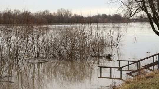 Wisła przybiera. Puławy w stanie pogotowia
