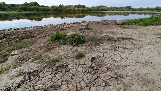 Wisła wysycha. W sierpniu padł rekord