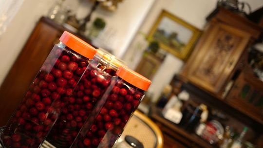 Wiśnia od kuchni. Radzimy jaką odmianę kupić