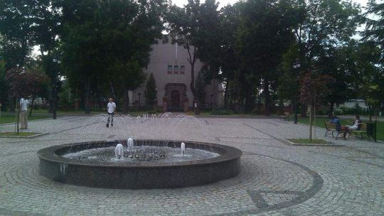 Wisznice: Kolejne zmiany w parku. Część drzew udało się uratować