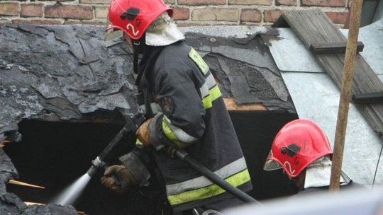 Witowice: Pożar kurnika. 18,5 tys. kurczaków spłonęło