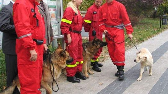 Witulin: Mundurowi poszukują 83-latki wygonionej przez syna