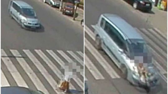 Wjechał na pasy i potrącił 79-latkę jakby jej nie widział (wideo)