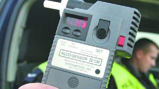 Wjechali w drzewo, uciekli na plantację leszczyny