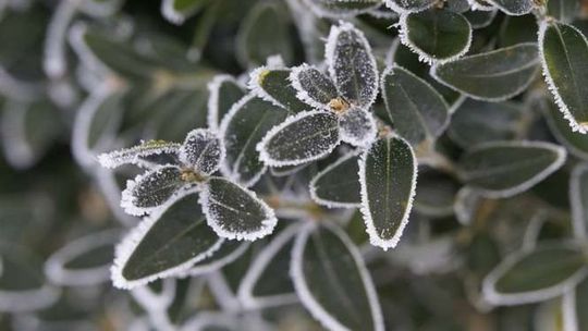 Wkrótce koniec ciepłej zimy. Idzie ochłodzenie