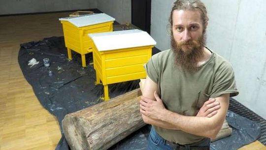 Wkrótce na dachu Centrum Spotkania Kultur stanie pasieka. Pierwszy miód w czerwcu