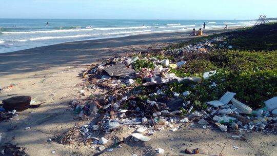 Wkrótce w oceanach będzie trzy razy więcej plastiku niz obecnie