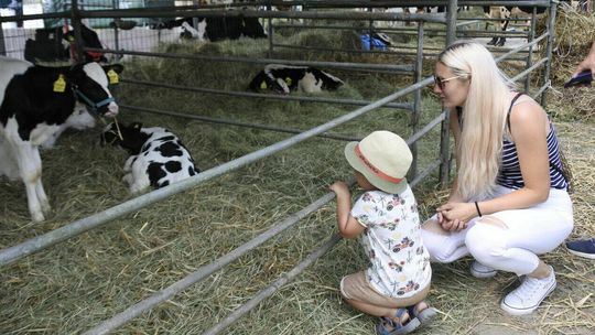 Wkrótce wystawa w Sitnie. Można się zgłaszać