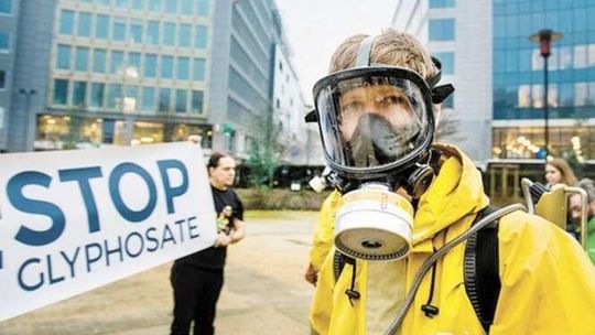 Władza w rękach korporacji. Co połączenie Monsanto i Bayera oznacza dla rolnictwa?