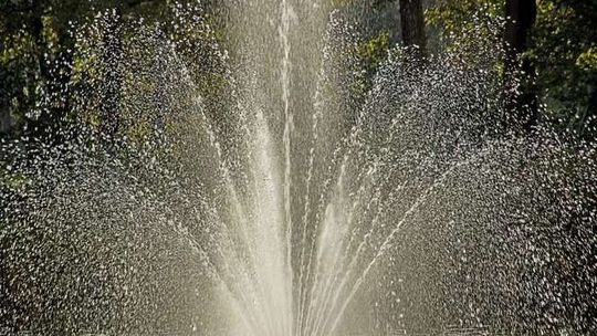 Wlali płyn do fontanny miejskiej, bo się założyli. Teraz zapłacą