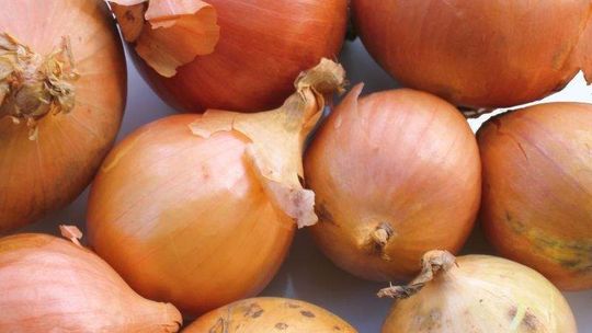 Włamał się do domu, ukradł wątróbkę, cebulę i zjadł pierogi