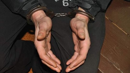 Włamywacze kradli paliwo, gaz i sadzonki