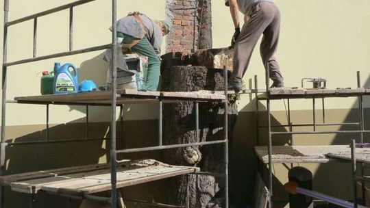 Właściciel starał się o to 3 lata, ścięli drzewo przy ul. Peowiaków