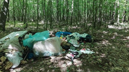 Właściciel warsztatu samochodowego wywiózł śmieci do Lasów Kozłowieckich. Wpadł dzięki kamerze