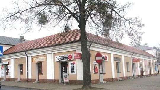 Włodawa: Mieszkańcy nie chcą wycinki drzew w centrum