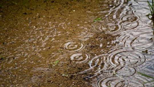 Włodawa: Podatek od deszczu. Kogo najbardziej dotknie?
