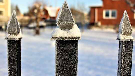 Włodawa. Środek nocy i przeraźliwy krzyk. Takie akcje policji nie zdarzają się często