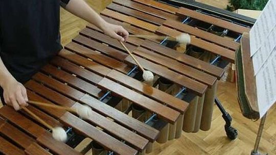 Włodawa stawia na muzyczne talenty. Powstanie szkoła muzyczna