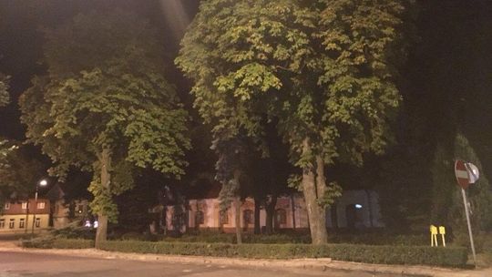 Włodawa: Większość drzew i trawników uda się uratować?